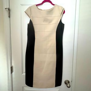 Black and Beige Dress